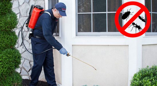 Erdemli Böcek İlaçlama böcek ilaçlama ve haşere kontrolü — ilaclama-tr.com